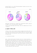 [마케팅분석]휴대폰벨소리 5425(700서비스)의 분석-14
