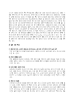 [국제경영] 한류현상을 반영한 마케팅사례분석- 두산식품 종가집김치-4