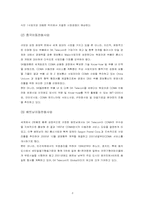 [경영비교]Sk텔레콤과 LG정보통신 경영전략 비교분석-3
