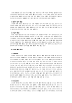 [마케팅]치킨라이스의 마케팅 전략-5