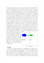 [마케팅]치킨라이스의 마케팅 전략-6