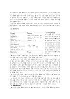 [마케팅]치킨라이스의 마케팅 전략-7