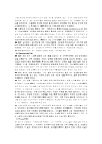 [마케팅]치킨라이스의 마케팅 전략-8
