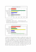 [마케팅]치킨라이스의 마케팅 전략-12