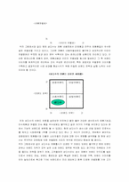 [마케팅전략]제주 삼다수의 마케팅 전략-5