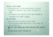 [국제경영]대우자동차의 폴란드 및 인도진출-17
