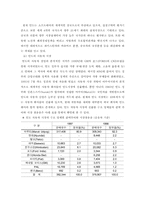 [국제경영]현대자동차 인도시장 진출-3