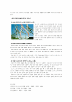 [일본]일본문화 `마츠리`-11