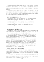 [호텔관광] 남미 항공사에 관한 연구-10