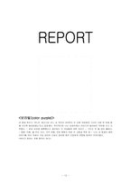 [영미소설-페미니즘소설] 앨리스워커의 `보라빛`분석-12