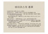 [인터넷문제] 인터넷과 범죄-12