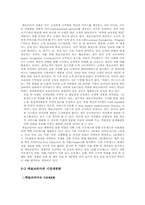 [국제경영] 라스베가스지사 설립과 마케팅전략- 서비스마케팅 호텔경영-10