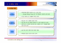 [국제마케팅사업계획서] 한국산 김제품 말레이시아 진출-12