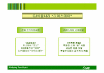 [마케팅전략] 한국 비누 시장의 현재와 미래 -CJ식물나라 라이스데이 중심-5