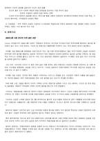 [사례연구]오피러스를 통한 제품믹스와 제품계열관리, 제품전략, 브랜드가치, 자산에대해-6