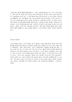 [독후감] 호르헤 루이스 보르헤스 `알렙`을 읽고-3