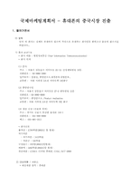 [국제경영] 중국의 휴대폰시장진출전략 및 방법-가상회사-4