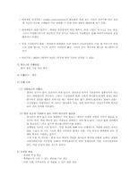 [국제경영] 중국의 휴대폰시장진출전략 및 방법-가상회사-5