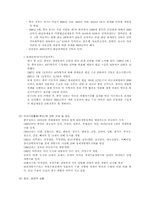 [국제경영] 중국의 휴대폰시장진출전략 및 방법-가상회사-11