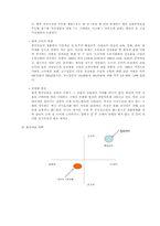 [국제경영] 중국의 휴대폰시장진출전략 및 방법-가상회사-20