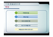 [국제통화금융] 환율결정이론-2