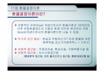 [국제통화금융] 환율결정이론-4