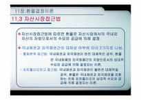 [국제통화금융] 환율결정이론-11