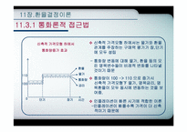 [국제통화금융] 환율결정이론-13