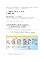 [환경생태학] 생물권의 진화-7