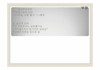 [국제관계이론] 세계화와 민주화-8