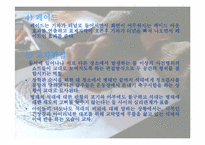 [문학과영상매체] 우리들의 일그러진 영웅-20