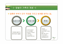 가족복지론 맞벌이가족 ppt자료-3