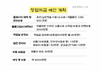 [사업계획서]디자인 전문 쇼핑몰 창업계획서-15
