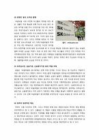 분식회계의 개념 및 정의, 원인, 유형, 문제점 해결방안, 국내외 주요 분식회계 사례 분석과 분식회계 방지 대책 제언-12