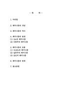 [이데올로기정치] 페미니즘에 관한 분석-2