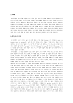 [이데올로기정치] 페미니즘에 관한 분석-3