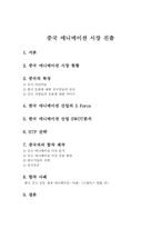 [해외시장조사] 중국 애니메이션시장 진출-13