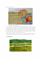 [여론과대중매체] 선전과 여론설득-15