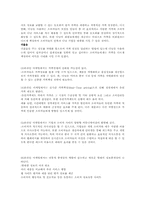 [마케팅관리론] 디지털경제(미국 시장에 한국시장처럼 캐즘을 극복하는 방안)-3