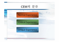 [소비자마케팅] 고객경영관리 CEM(Customer Experience Management)에 관한 분석-6