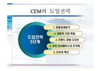 [소비자마케팅] 고객경영관리 CEM(Customer Experience Management)에 관한 분석-7