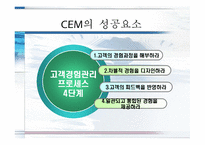 [소비자마케팅] 고객경영관리 CEM(Customer Experience Management)에 관한 분석-10