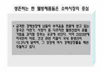 [해외시장조사] 세계시장에서 새로운 트렌드에 관한 조사-6