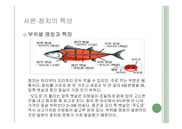 [국제경영론] 동원사업 소개-14