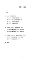 [스포츠와여가생활] 스포츠와 경제(2002년 월드컵에서의 스포츠 마케팅)-2