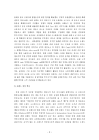 국내외 유명 브랜드 이미지 향상 마케팅 전략 분석(빈폴, 쌈지, 소나타, 하이트, 애니콜, 진로, 종가집)-3