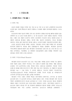 국내외 유명 브랜드 이미지 향상 마케팅 전략 분석(빈폴, 쌈지, 소나타, 하이트, 애니콜, 진로, 종가집)-13