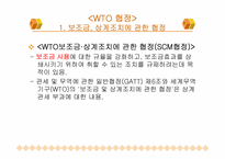 WTO 무역 분쟁 및 협상에 대한 분석-10