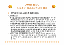 WTO 무역 분쟁 및 협상에 대한 분석-11