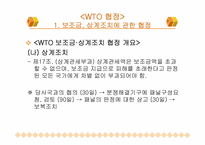 WTO 무역 분쟁 및 협상에 대한 분석-12